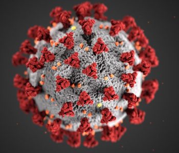 Immagine Coronavirus1